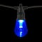 12ct. Multicolored Edison LED String Lights by Ashland&#xAE;